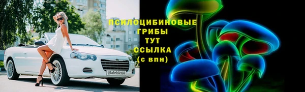 дмт Армянск