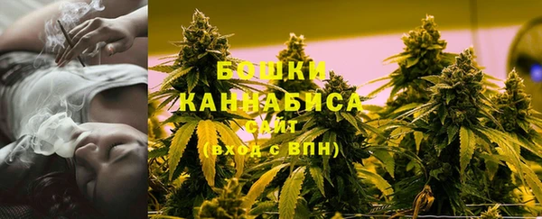 бошки Мегион