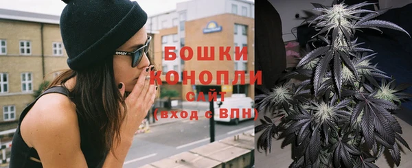 дживик Аркадак