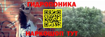 сатива Бийск